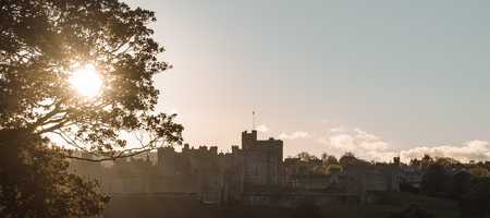 A picturesque shot of a castle in a field, with the sun poking through the leaves of an old tree.